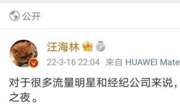 爆料娱乐圈瓜,揭秘明星背后的惊人真相