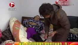 徐老太最新邻居爆料视频,揭秘惊人视频背后的真相