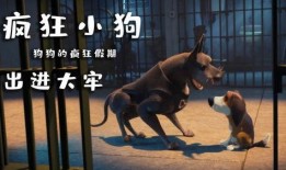 二狗爆料生活视频大全集,生活视频大全集精彩瞬间回顾