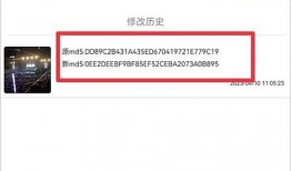 优质素材爆料视频下载,优质素材下载攻略大公开