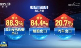 新澳最新爆料330期视频,揭秘视频背后的惊人真相！