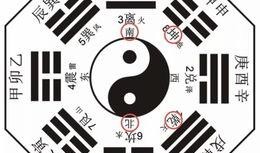 八卦最新爆料入口官网,官网独家揭秘，热门资讯一手掌握