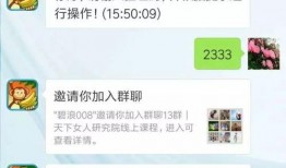 濮阳网红吃瓜群微信号,揭秘网络红人的幕后故事