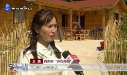 雨晴陈浩无情爆料视频在线播放,揭秘娱乐圈惊人内幕