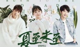 夏至未至全集在线观看,青春记忆的温暖回响