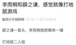 你的吃瓜日记免费阅读,揭秘娱乐圈幕后故事