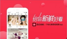 娱乐吃瓜爆料背景视频,吃瓜爆料背后的真相与内幕