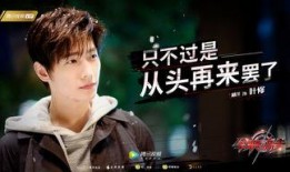 直播爆料王鹤棣视频下载,精彩瞬间引网友热议