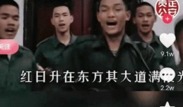 老陈爆料缅北案件视频,老陈爆料视频揭露惊人内幕