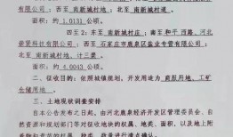 藁城爆料最新消息视频,视频揭露惊人真相