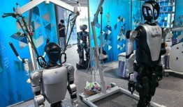 机器人性视频在线观看,机器人性视频在线观看全解析