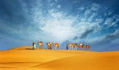 最新沙漠爆料新闻报道图片,最新爆料揭示神秘沙漠景观