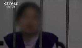 蓬莱新闻爆料事件始末视频,真相与争议的交织