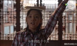 娱乐圈的吃瓜第一人,揭秘幕后真相与八卦风云