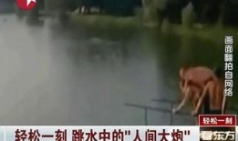 人间大炮爆料视频,揭秘娱乐圈惊人内幕