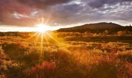 天空日出爆料视频大全下载,海量爆料视频大全下载攻略