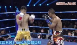 崇阳最新爆料新闻视频