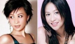 娱乐圈哪些明星被爆料了,揭秘被曝光的明星秘密