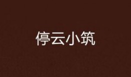 停云最新爆料,揭秘娱乐圈惊天秘密