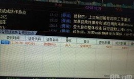 敦煌种业最新爆料新闻,揭秘公司重大战略调整与市场动向
