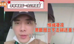 网红爆料李易峰视频,网红爆料背后的真相揭秘