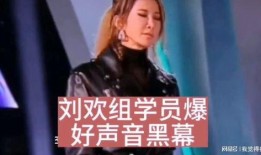 学生爆料刘欢视频播放,经典再现！