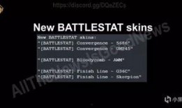 最新pubg国外大神爆料,国外大神最新爆料，PUBG未来走向大揭秘！