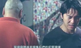 喜剧之王国语高清在线观看,笑破银幕，重温经典喜剧时刻