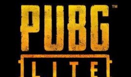 最新pubg国外大神爆料,国外大神最新爆料，PUBG未来走向大揭秘！