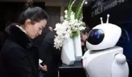 机器人性视频在线观看,机器人性视频在线观看全解析