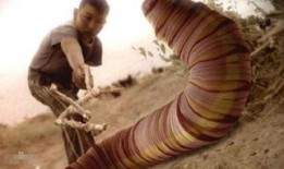 死亡蠕虫电影在线观看,惊悚蔓延，在线惊悚盛宴