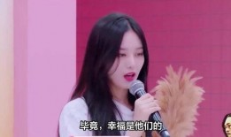 圈内爆料徐艺洋,圈内爆料揭示背后的故事