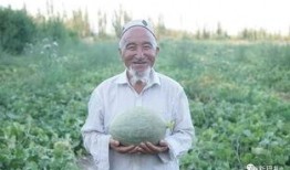 网红吃瓜僧,揭秘网络红人的佛系生活与吃瓜趣事