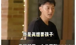 圈内爆料徐艺洋,圈内爆料揭示背后的故事