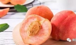 小说桃桃吃瓜免费阅读,一场穿越时空的甜蜜冒险