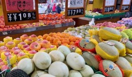 甜瓜游乐爆料视频大全集,揭秘幕后精彩瞬间