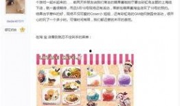 彩虹岛最新爆料网站大全,揭秘热门网站大全，畅游虚拟世界新篇章