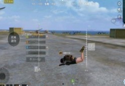 最新僚机爆料软件是什么,最新僚机爆料软件，掌握信息先机！