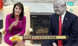 特朗普女友爆料视频播放,视频播放背后的惊人真相