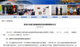 缅甸媒体爆料视频,揭秘背后惊人真相