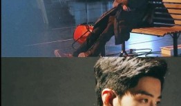 圈内爆料肖战的文化,文化之光，魅力四溢的青春偶像