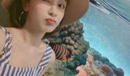 娱乐大爆料杨紫李现,娱乐大爆料揭秘幕后故事