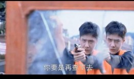 陪我在线观看,探索光影世界的奇妙旅程