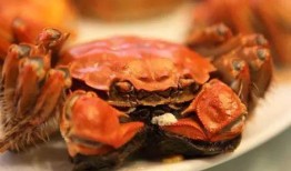 娱乐吃瓜君大闸蟹,大闸蟹背后的故事与魅力