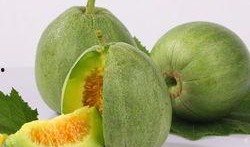 甜瓜游乐爆料视频大全集,揭秘幕后精彩瞬间