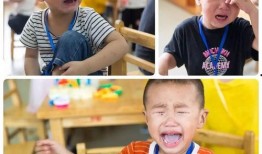 江苏萌娃爆料新闻,揭秘童言无忌背后的温馨瞬间