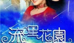 流星视频爆料,揭秘娱乐圈幕后真相