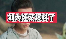 刘大锤最新爆料诗情画意,诗情画意背后的秘密