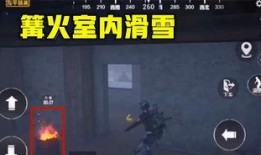 白术武器爆料视频播放,全新神秘装备即将亮相