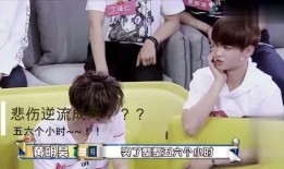 黄明昊实锤爆料视频大全,揭秘娱乐圈幕后真相